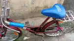 1 year old cycle