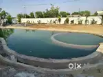 Full development