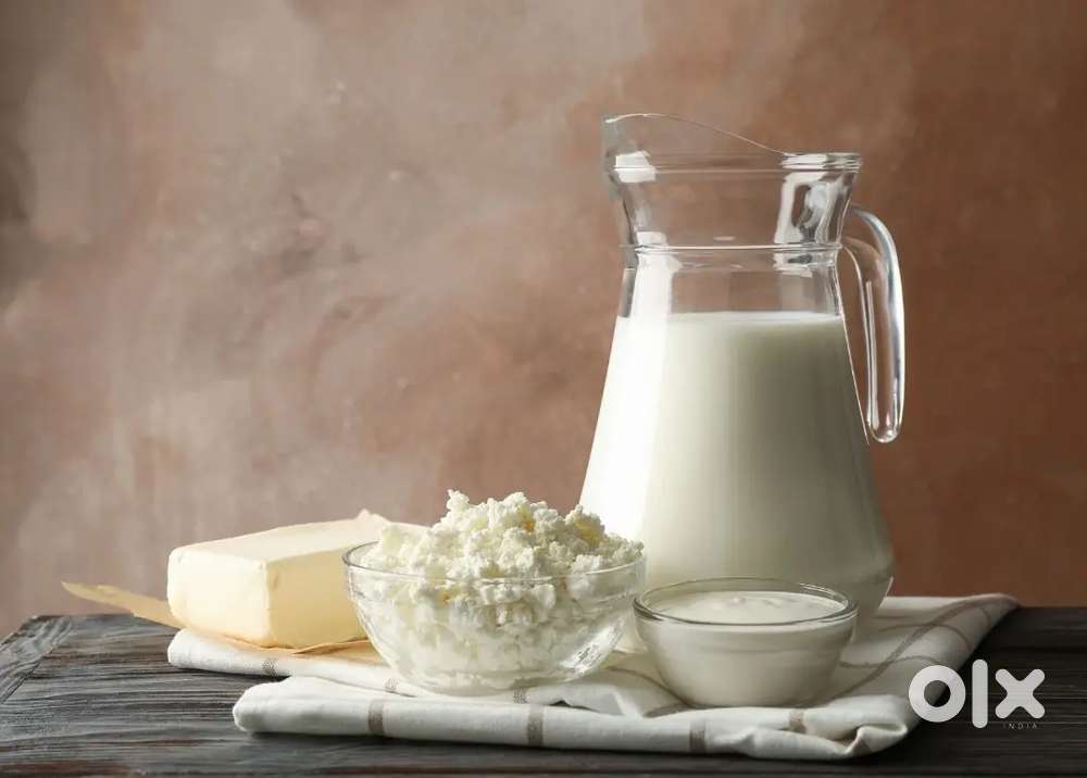 Age limit must be 19 to 25 boys