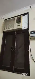 Voltas 4 year old
