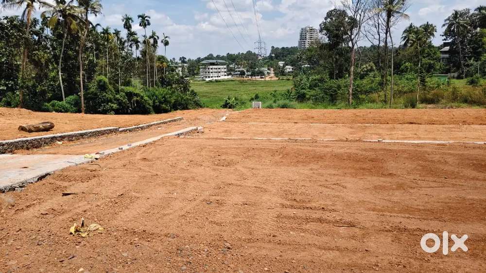 4,5,6,7,10 cent house plot near Kakkanad infopark 1.5 km