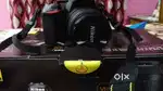 NikonD5600