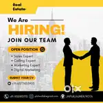 Real Estate Sales & Marketing Executive