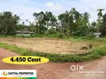 4.450 Cent (മുളന്തുരുത്തി Town നു അടുത്തായി )-(പഞ്ചായത്ത്‌ Road Side)