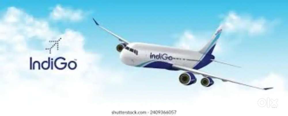 Indigo Airlines jobs /Vacancy for Airport Ground staf / Driver / Crew