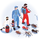 Anti  cockroach service with 6month warranty pest control services