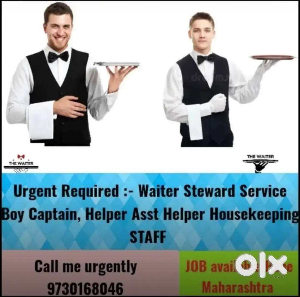 I** Need **  Professional  Waiter // Steward // Captain K Helper //
