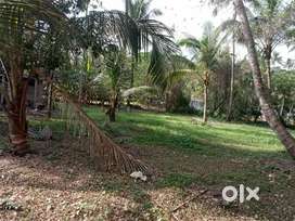Plot for sale 3,00,000 per cent