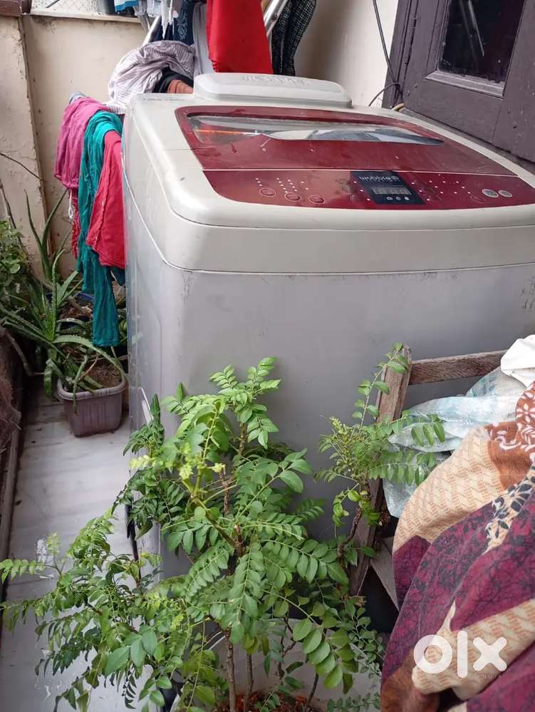 Samsung wobble technology 7kg topload fully automatic machine