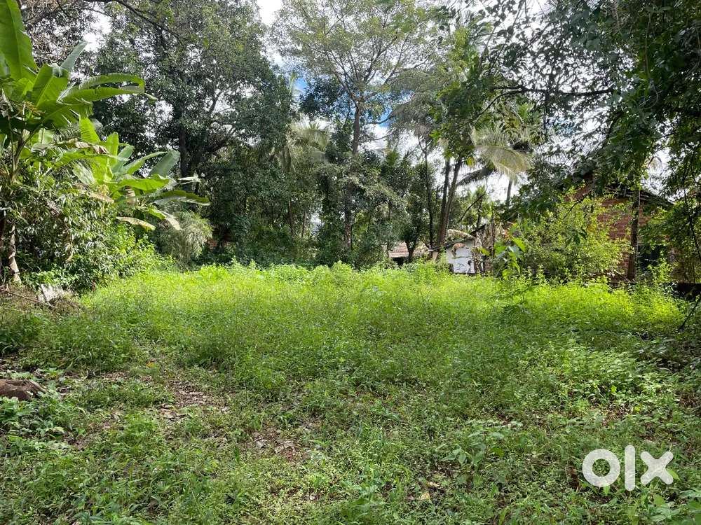 Road Touch 5 guntha plot