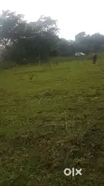 1 Acre Land in Gunderdehi, village Bhendrra me  sell karna hai