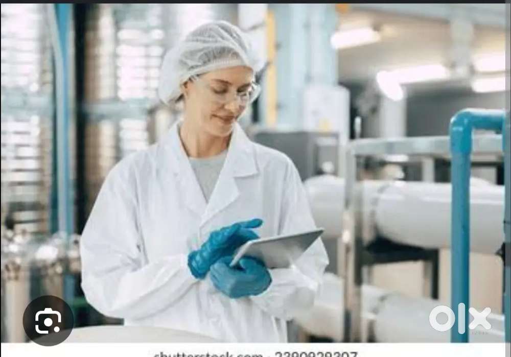 Wanted processing staff @ Vijayawada