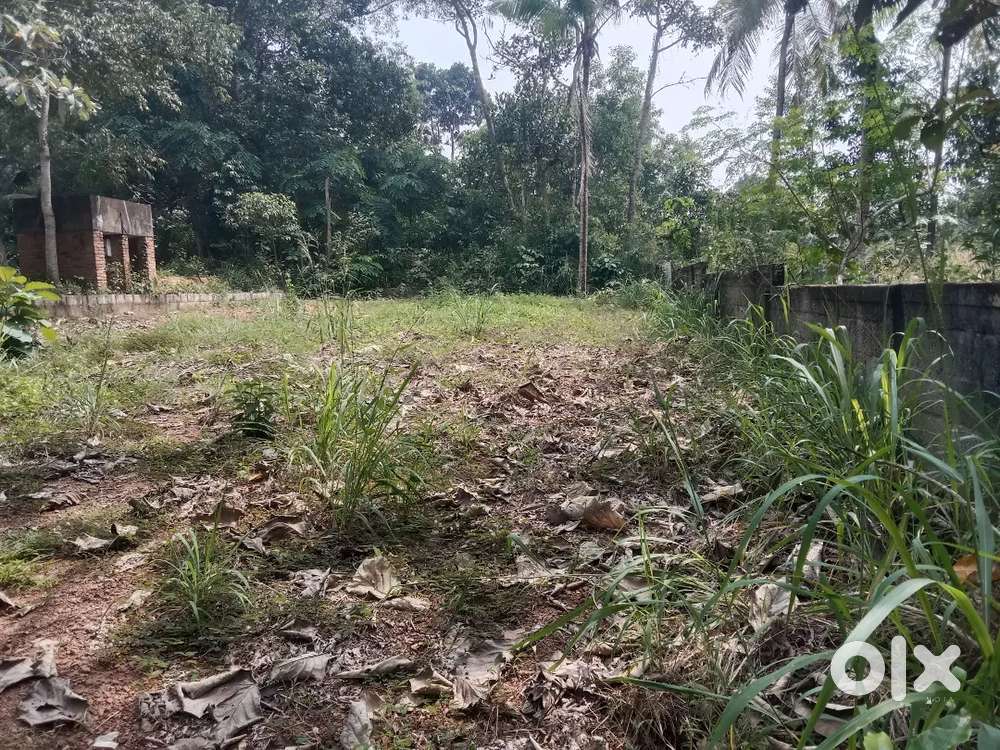 Sreekaryam njandoorkonam 8mtr road frontage 26cent plot