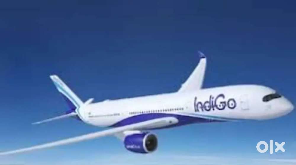 Apply Now Ground Staff Jobs In IndiGo Airlines Near by Airport