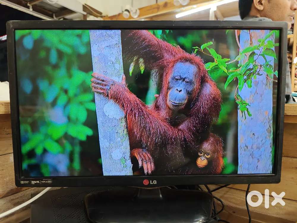 LG Monitor+TV 2 in 1 Full HD