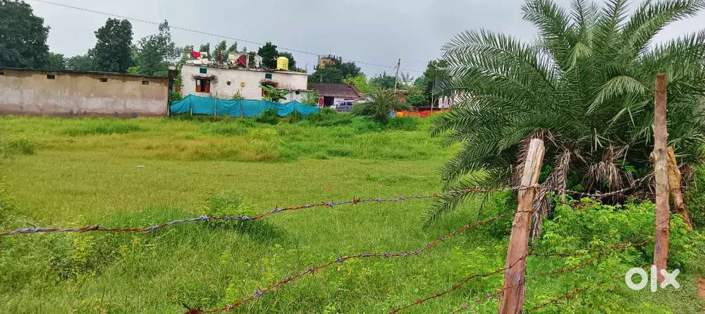 “Residential Plot 50 Dismil Awash Para, Kanhargaon Bhanupratappur”