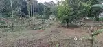 Kakkanad near valaboor 22 cent house plot 1.80 per cent 400 mtr busrut