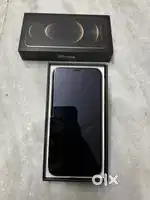 12 pro 256 gb