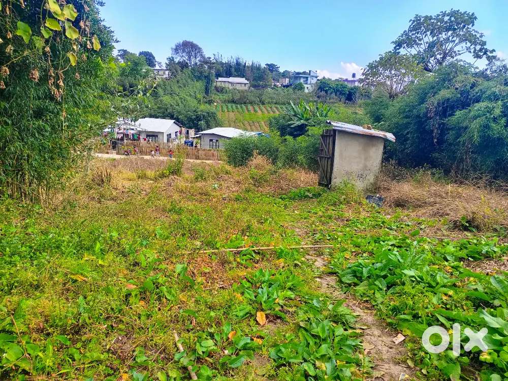 Urgent jaka ha laitkor lumheh area 2000sft