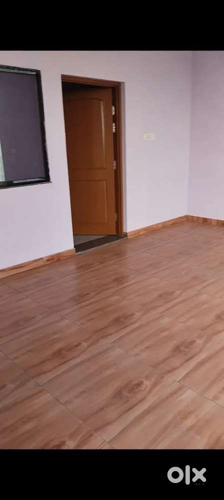 Looking for a roommate such a kind gentle and vegitarian person