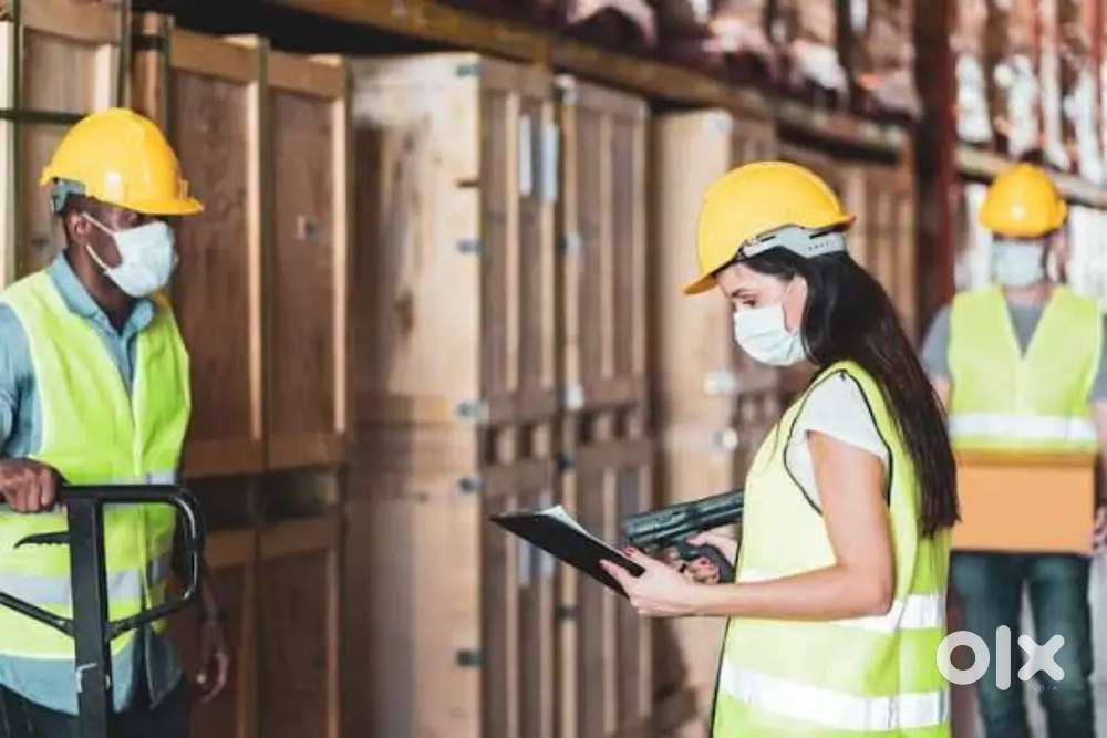 Hiring for medicine Packing job Lucknow Location. .