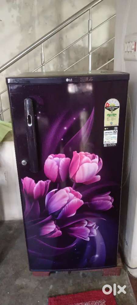 LG Refrigerator 2024 modal