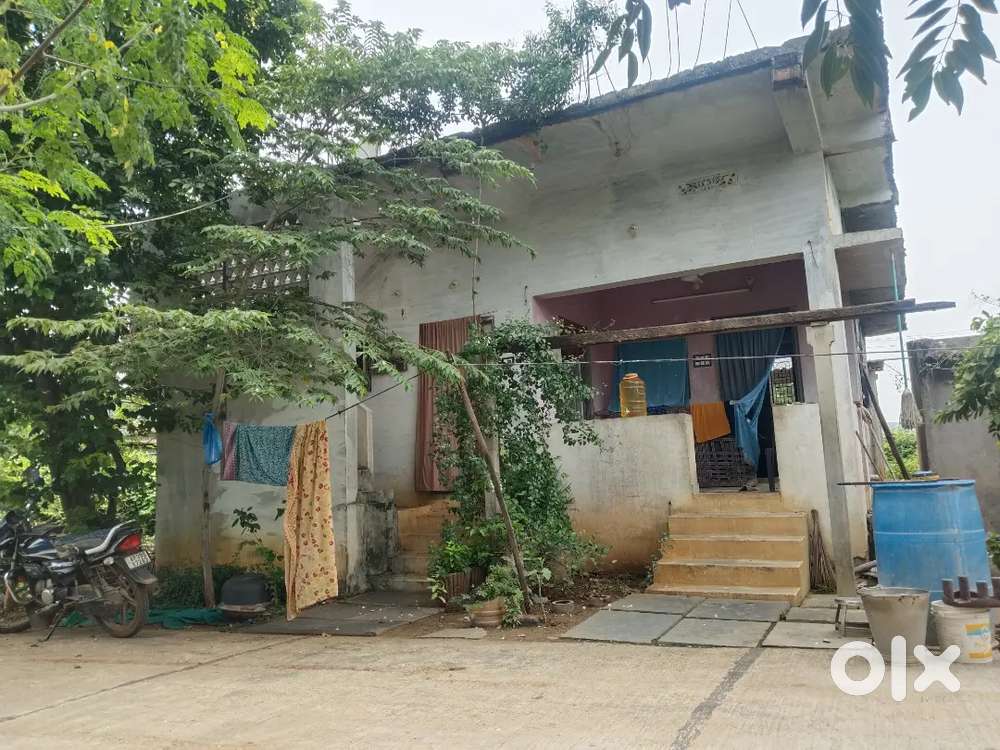 Individual house