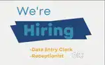SALES DATA ENTRY