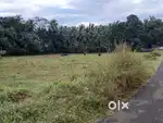 32 cent (16 x 2) Plot for Sale