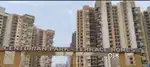 Flats are available for rent and purchase