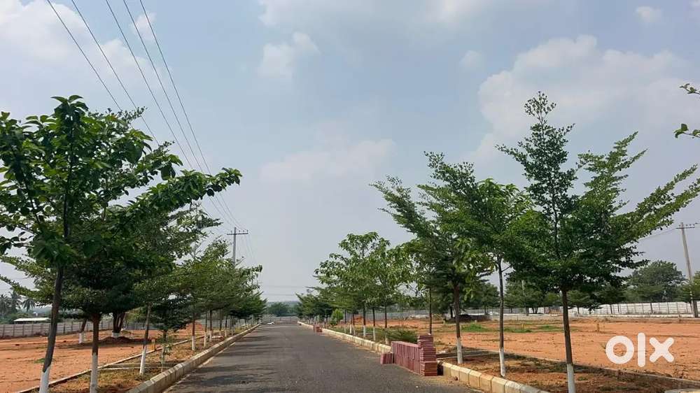 Plots in Yadagirigutta.