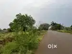 3bigha agriculture land on road