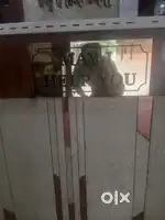 Reception ke liyea staf ki jarurat a