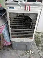 One year old cooler