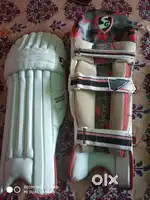 SG pads of cricket