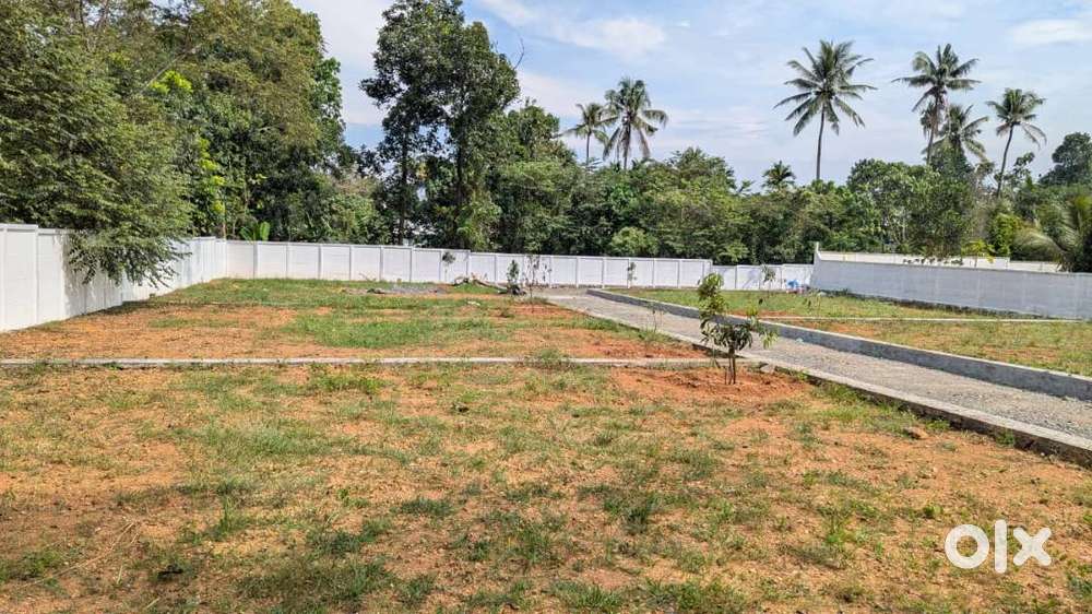 Angamaly–Puliyanam Church Near 4–15 Cent Premium Villa Plots Free Reg