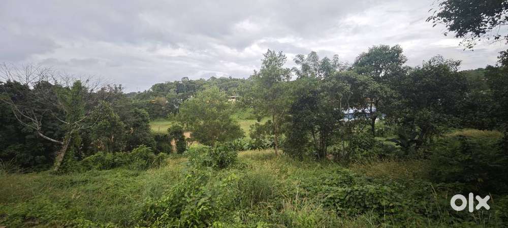 75 Cents of Prime Land for Sale – Near Girideepam School, Kottayam