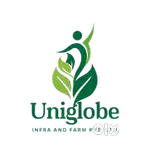 Sales Executive