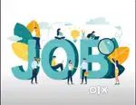 Need driver with experience in marketing ladies clothes