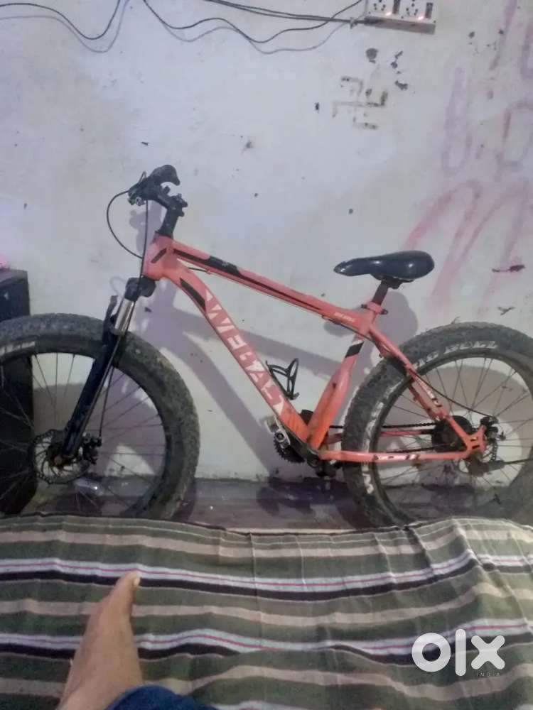 wegas cycle all ok but back gear is removed