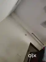Need for 1 Room mate