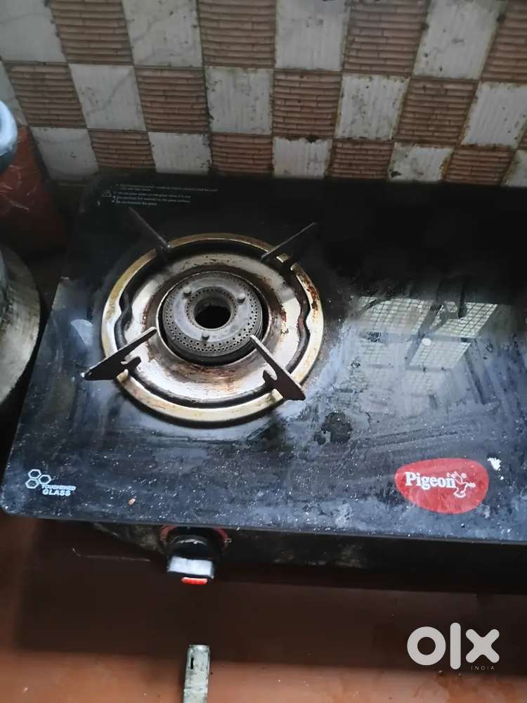 Pigeon gas stove
