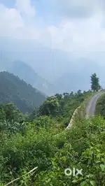 3.75 bigha Land available near Maldevta