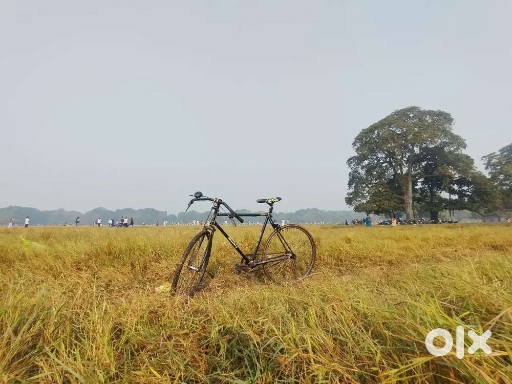 Custome made like racing cycle.Custom handle bar