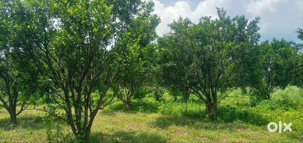 3.10 एक्कर शेत विकने आहे