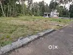 5.20 cent land sale at karukutty,