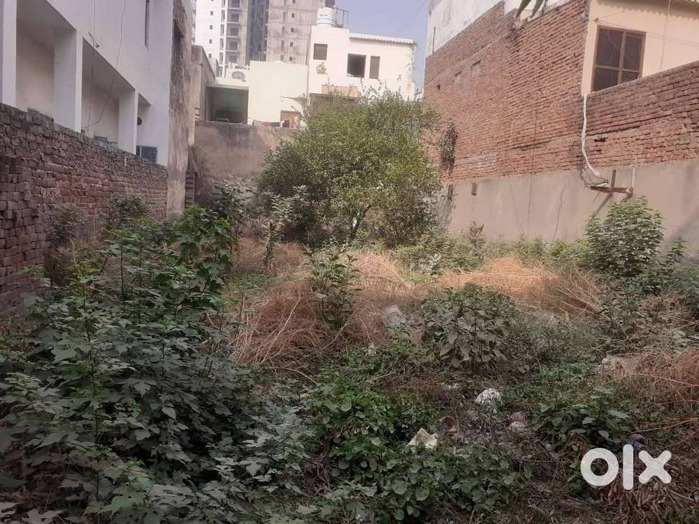 250 gaj land for rent