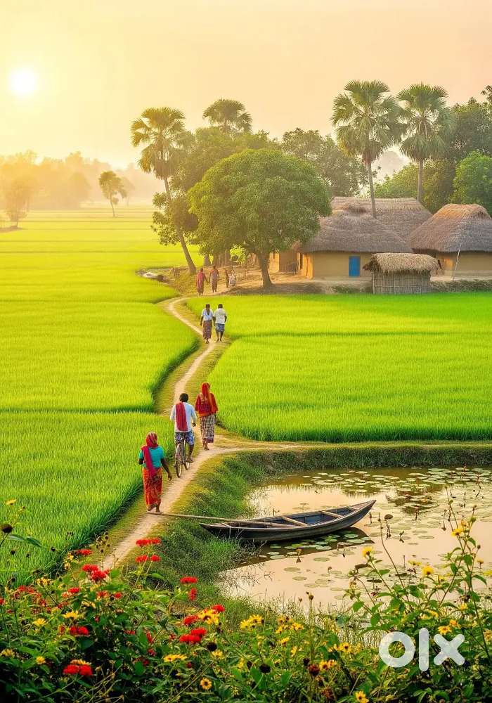 8Katha land sale...sonajhuri buddha murti pichoner dike...document ok