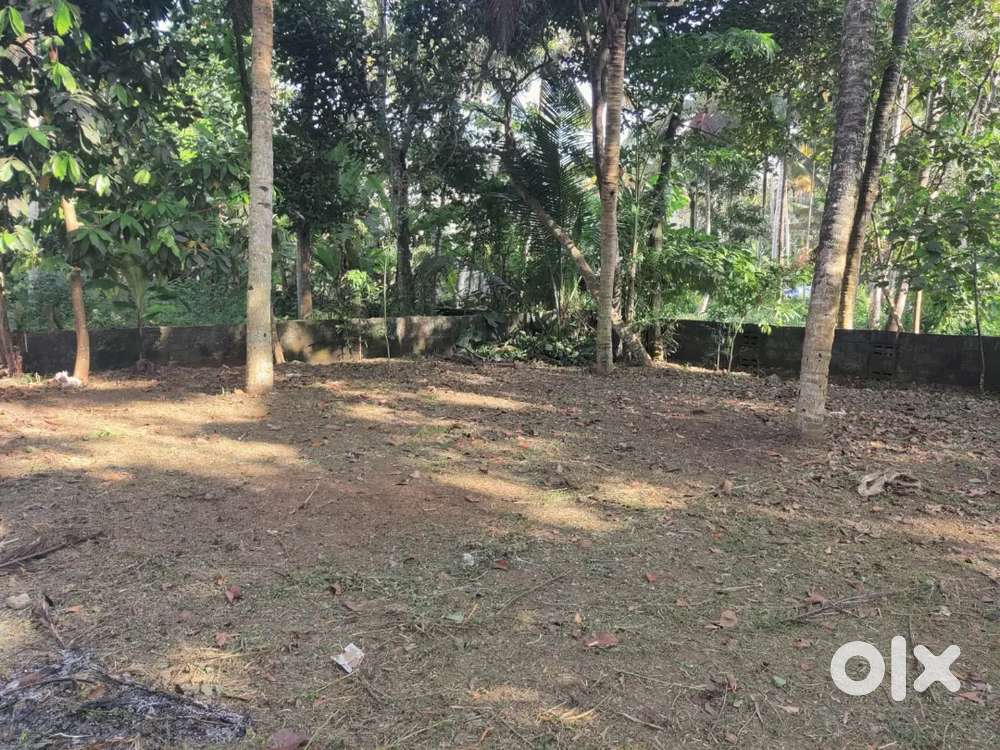 8 Cent Residential plot for sale
