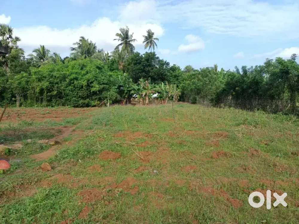 காடு விற்பனைக்கு